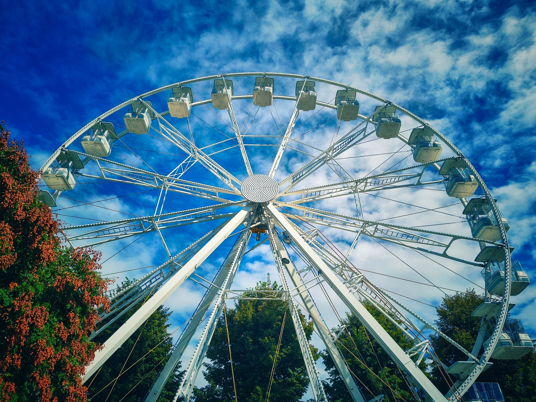 Una grande ruota panoramica bianca è posizionata in un parco con alberi verdi e un cielo azzurro con alcune nuvole.
