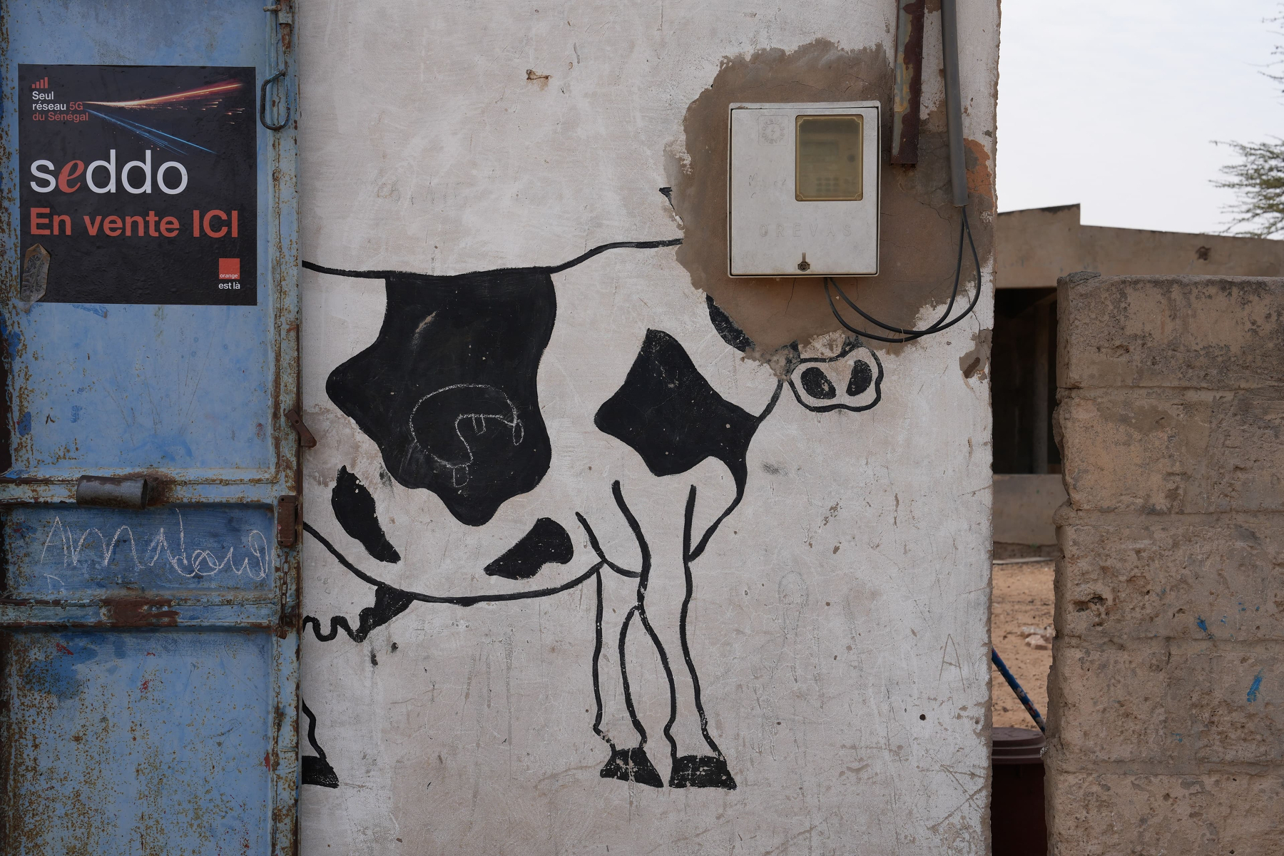 A painting of a cow on a wall. An electric junction box has been installed where the head was painted so it looks like the cow is some kind of cyborg.