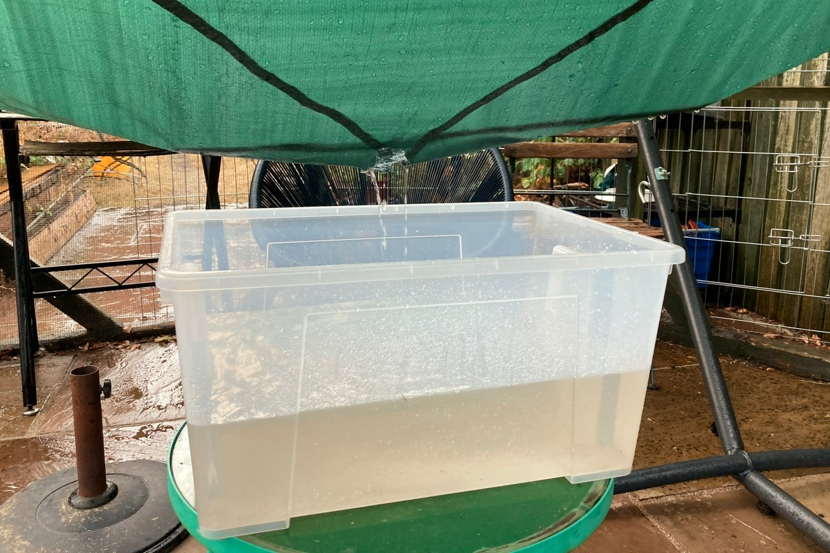 Photograph of a large IKEA plastic container half-filled with dirty water.