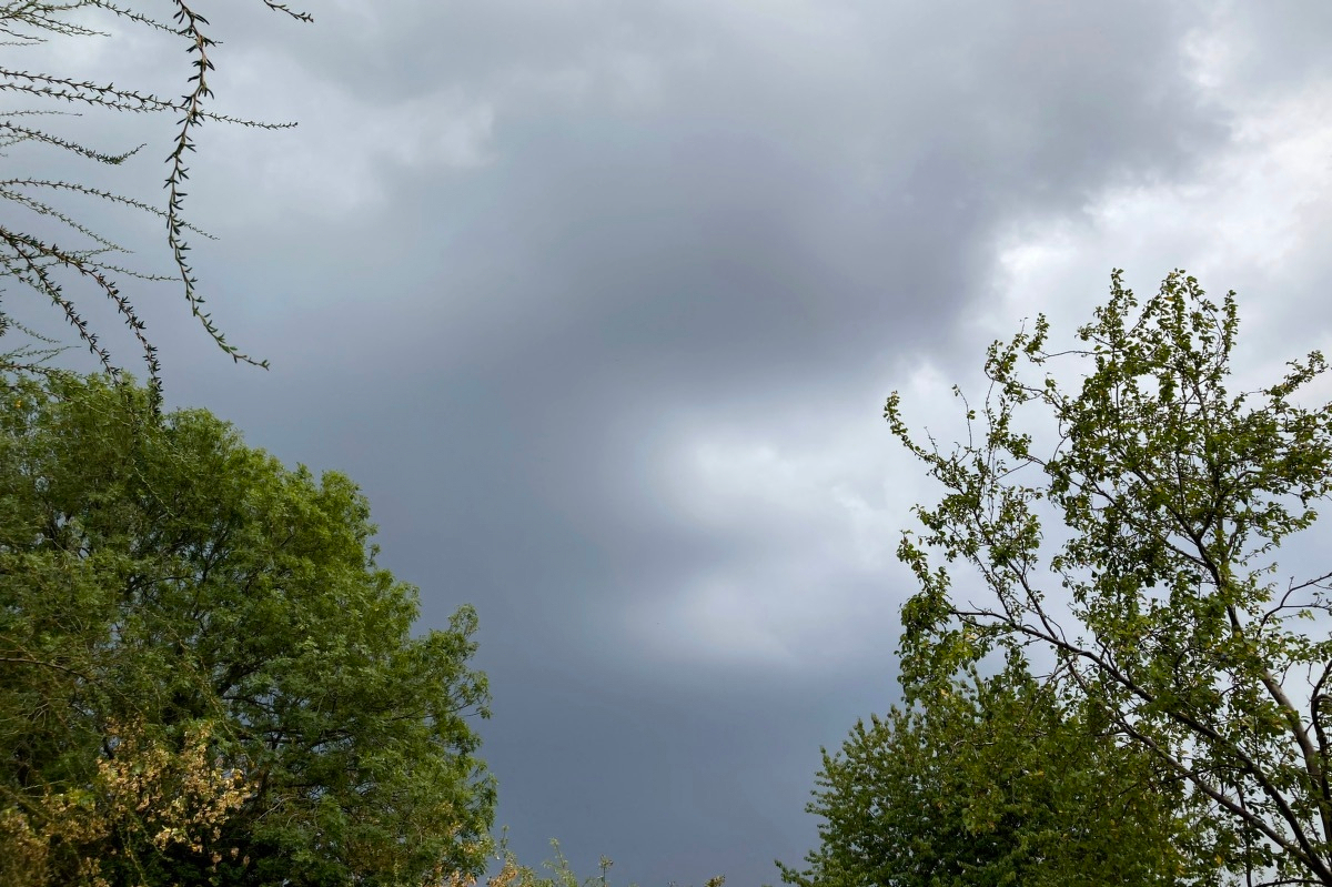 A view of the sky through some trees. The sky is dark and stormy.