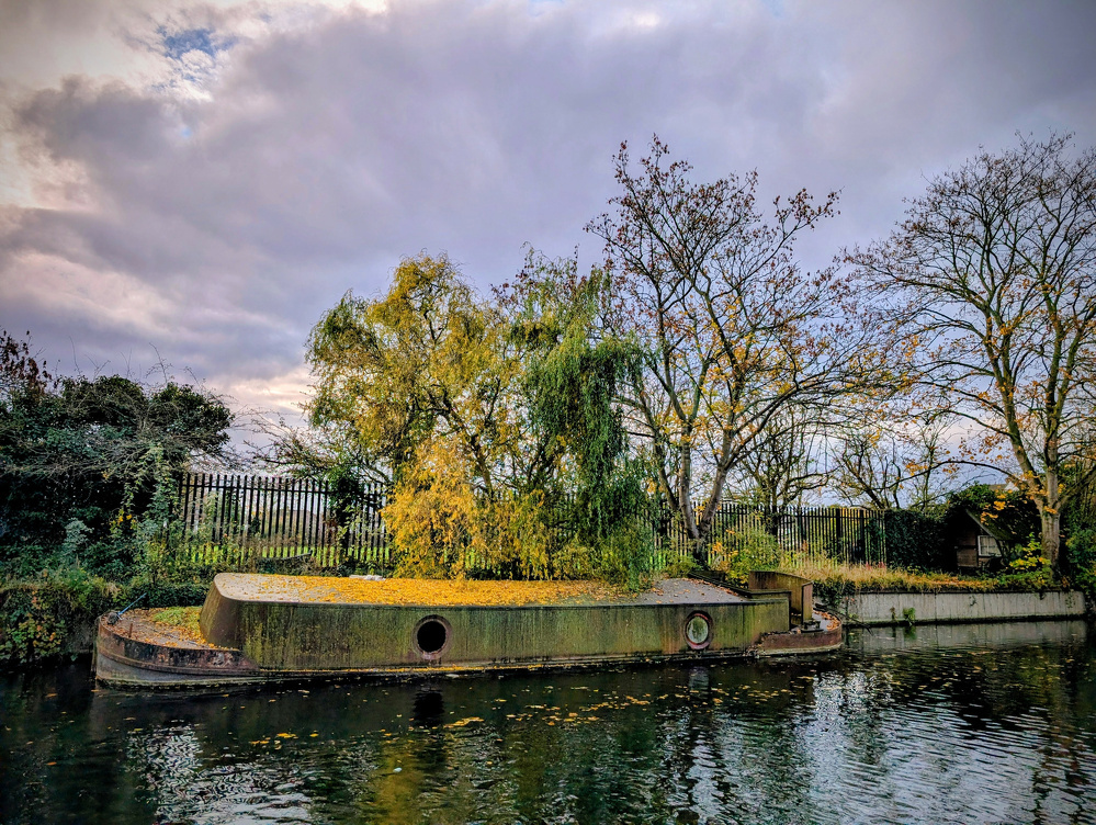 A small, partially submerged concrete structure overgrown with trees and foliage is situated by a calm waterway under a cloudy sky.