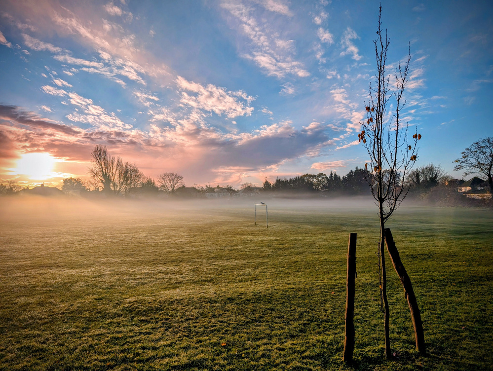 A small tree stands in a misty field under a colorful sunrise sky with scattered clouds.