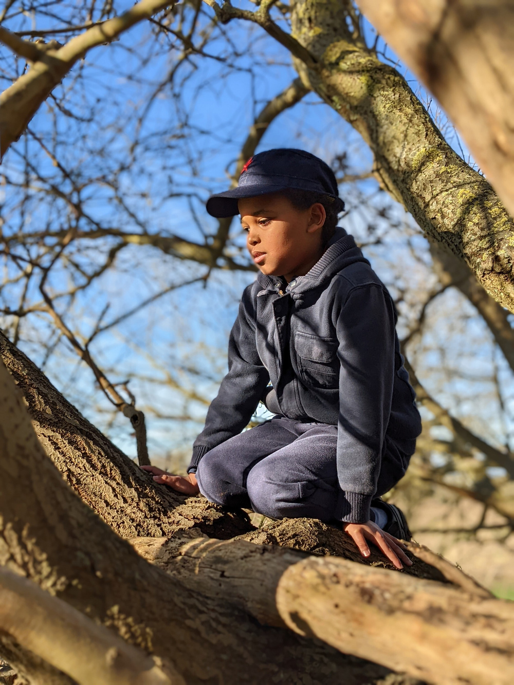 A young boy dressed in dark clothing and a cap is sitting on a tree branch, looking thoughtfully into the distance.