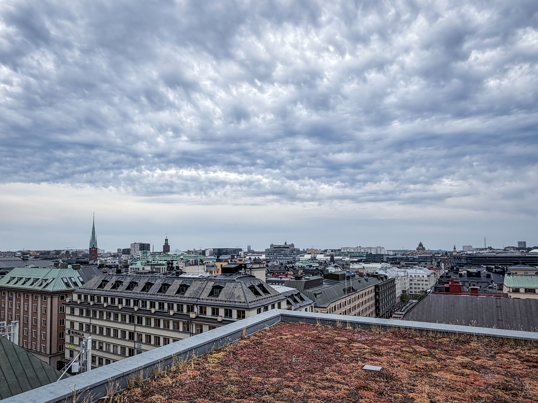 En stadssilhuett under en dramatisk, molnig himmel med en takterrass täckt av växter i förgrunden.
