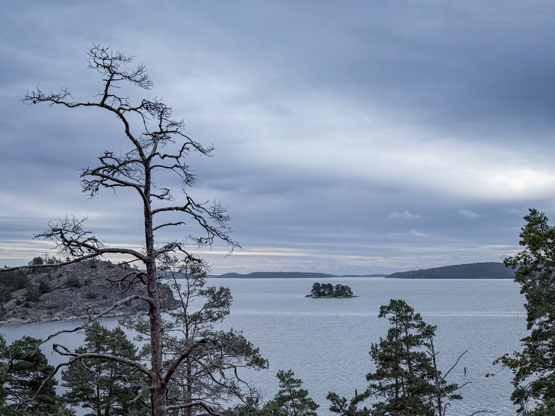 A calm body of water is surrounded by rocky shores and scattered pine trees under a cloudy sky.